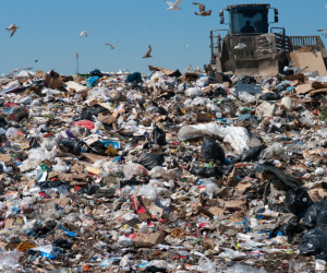 Compactor in landfill